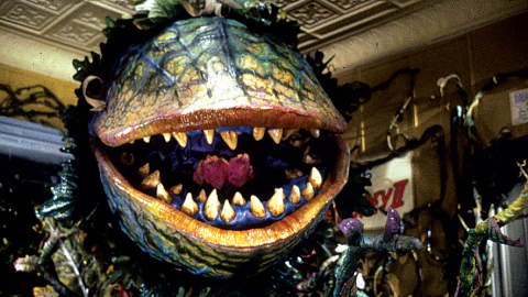 Film still from Little Shop of Horrors