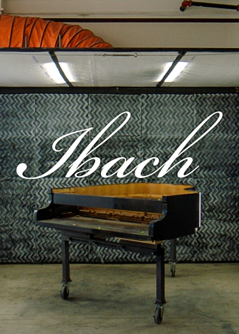 Poster for the short film Ibach